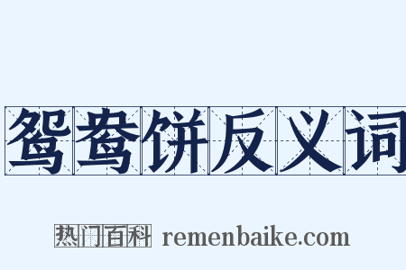 鸳鸯饼反义词是什么意思的图片